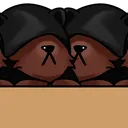 BearCouncilMiddle