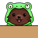 BearCouncilFrog