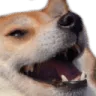 dogekek dogekek