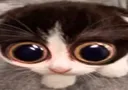 MONKA