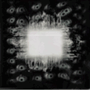 TS_Spermies Discord emoji