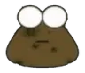 CFLOO