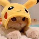 pikapika