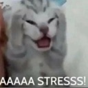 PTC_AAAStress Discord emoji