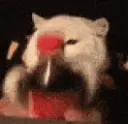 CokeShakey