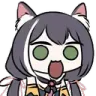 KotPog