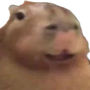 widecapy