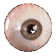 eeye