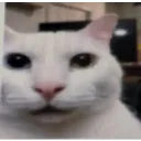 SM_que SM_que