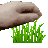 touchgrass