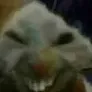 xd