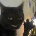 helo