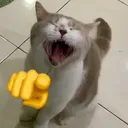 JAJAJA