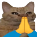 catPrayge catPrayge
