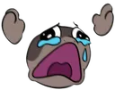 Clodpain