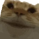 MaybeMaybe MaybeMaybe