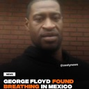 floyd Discord emoji