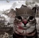 meowarmy