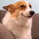 emoji_10 emoji_10