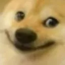 happydodge Discord Emoji