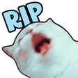 catRIP Discord emoji