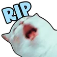 catRIP