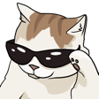 m_Sunglasses Discord emoji