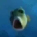 fishbaffled