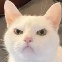 whatusay