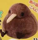 kiwi3