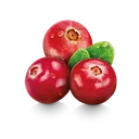 Cranberry_Requested_By_Eveardy_