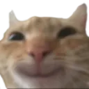 ninismile ninismile
