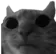 ninidoom ninidoom