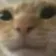 nini3 nini3