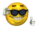 sunglasse sunglasse