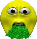 vomit