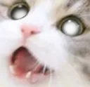 hey