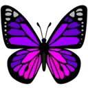ac_purple_butterfly Discord Emoji