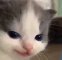 mweheheheh