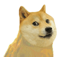 dangedoge Discord Emoji