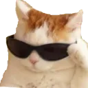 sigma_cat