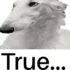 truezoi truezoi