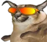 FloppaWicked