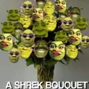 shrek