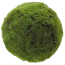 emote_mossball