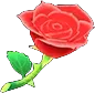 acnhredrose