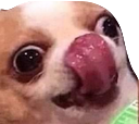 pB_dogeLick Discord emoji