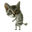 danoleBailesito Discord emoji