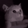 kmm_flashbang Discord emoji