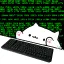 bongocode